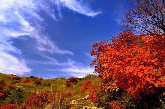 空中画廊|万山红遍!河北12个绝美秋景,邯郸的是这里!