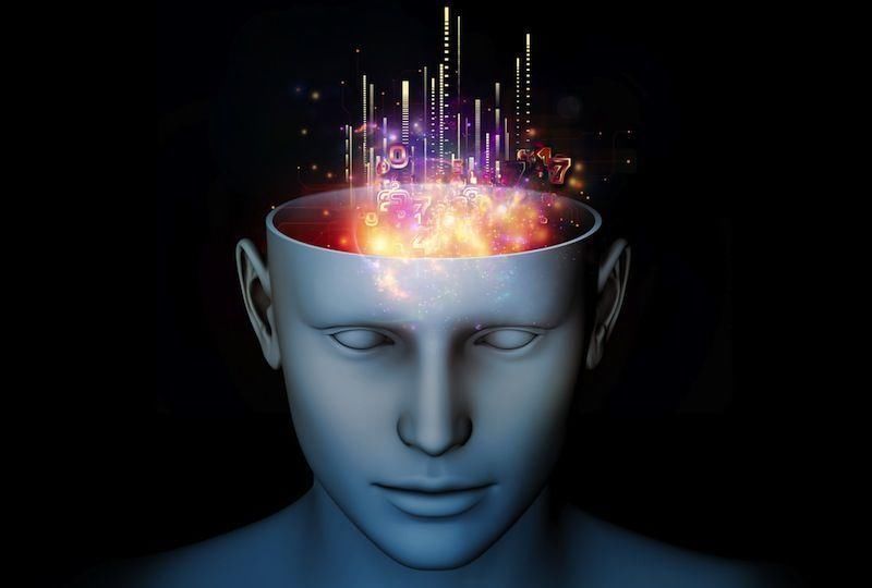  心脏|大脑重要还是心脏重要？很多人已经猜到了答案！