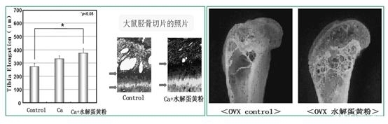  孩子身高|孩子如何长高高？父母想知道的营养秘籍在这里！别傻傻只会补钙了