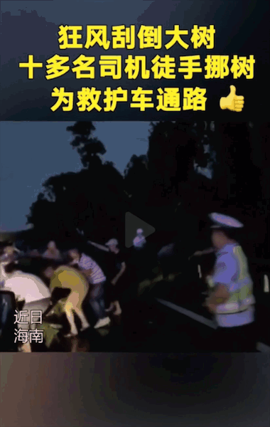  报警|司机报警求闯红灯，连声说“没办法了”！背后原因感人