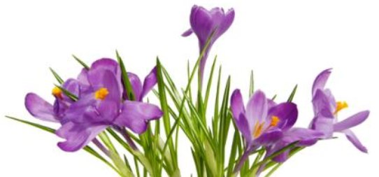  天生|天生心地善良，注定拥有满满的福报的3大生肖女