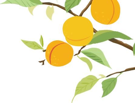 守护者|兴国鱼丝与它的守护者们