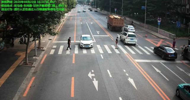 交通违法行|【文明出行】开车打手机，拍的就是你！