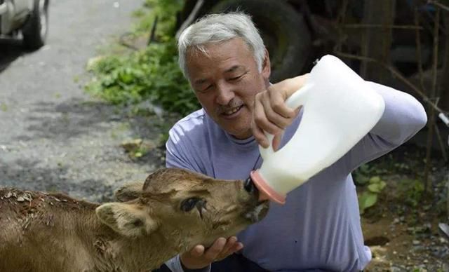  松村菅直人|老人独守福岛核辐射区，无偿照顾动物6年，政府却盼着他早点死