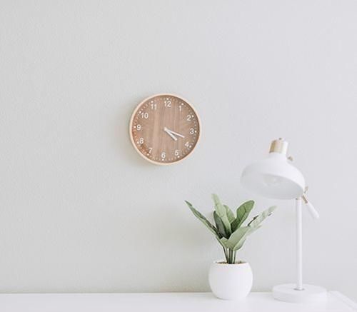  开花|玉簪终于成片开花，楼下来了只漂亮的小花猫