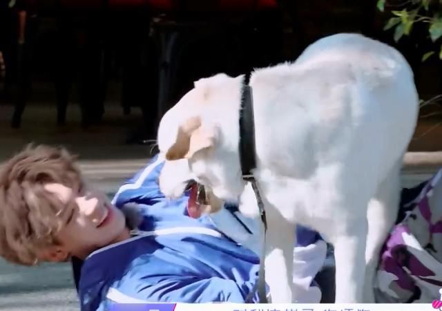  嘉宾|Jeffrey小鬼耳边密语，Justin被嘉宾扑倒在地，要亲亲抱抱举高高