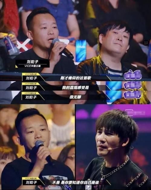 丁太|丁太昇嘲讽刘维综艺混子 李佳航犀利反击 乐评人遭全网嘲讽