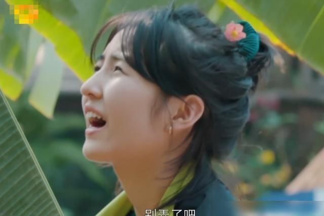  张子枫|谁关注彭昱畅谁在乎爬椰树？你去不去一目了然