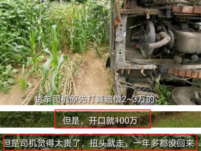  农民|大货车冲进庄稼地，老农民索赔100万，司机：你的地里种的金子？