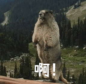 收获|他就这样收获了几百万粉丝？