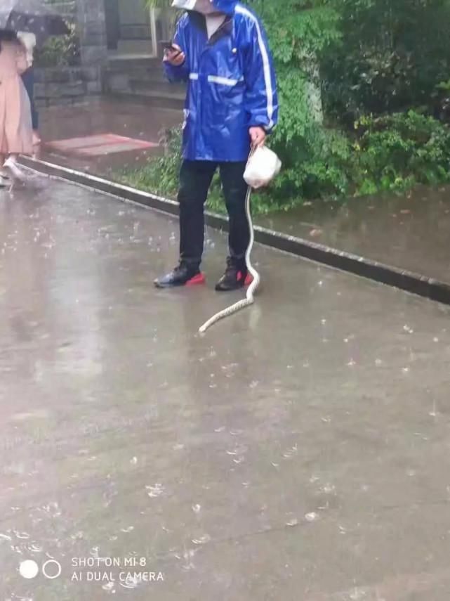 职业|“必须让你吃到老子送的餐，外卖小哥xswl！”哈哈哈这是什么神秘职业啊