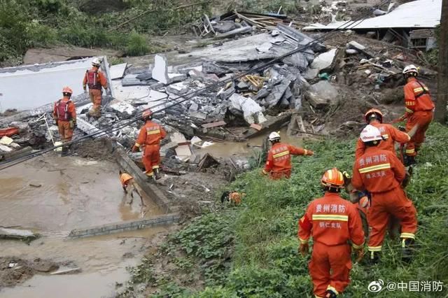  山体|山体滑坡搜救现场，搜救犬金毛为救人变“泥猴”