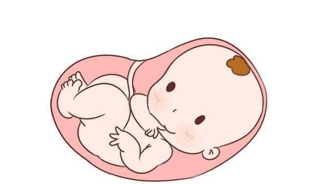  宝宝|宝宝没出生之前，每天在妈妈的肚子里做些什么？会经常做这7件事