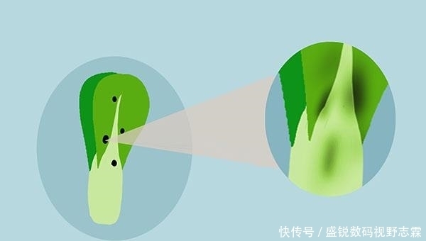 癌细胞|癌细胞是被坏习惯喂养出来的!远离癌症,哪些习惯要及时改正?