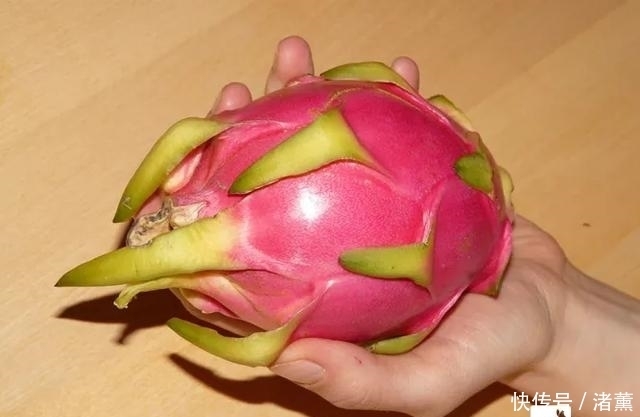 红心火|火龙果“红心”好还是“白心”好？不懂这一点，火龙果白吃了！