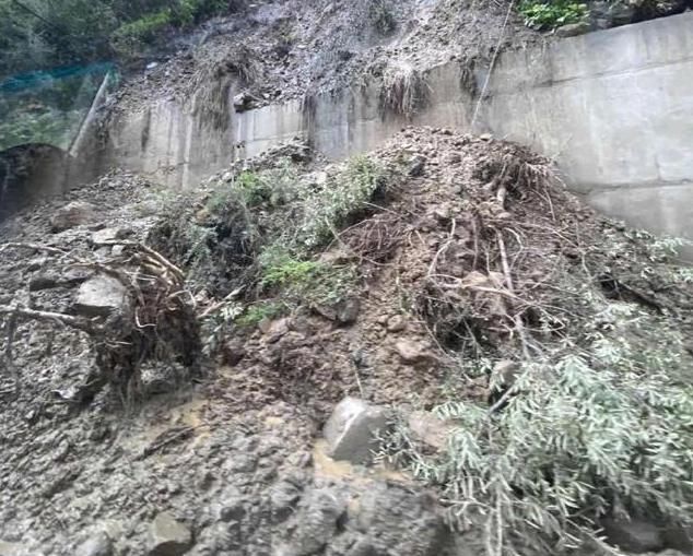  开玩笑|前几天张雨绮突然发文报平安，粉丝以为她开玩笑，现在想想后怕