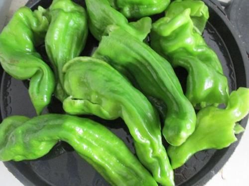 青椒|最馋这菜,煎一煎就上桌,鲜辣香超入味,一大盘才2块钱