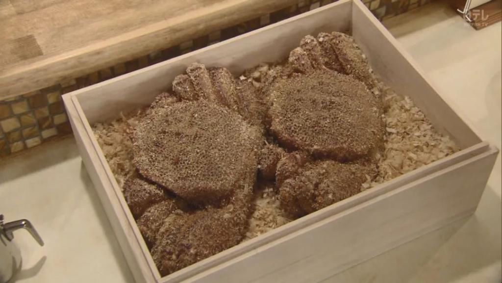  猛涨|猛涨9.0，别再错过他一次