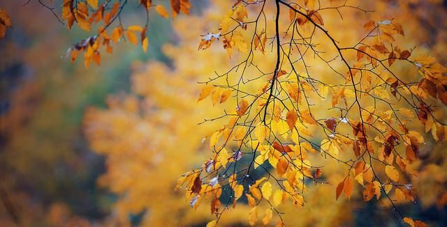 路上|感悟人生:人生每走一段路,都是一种感悟