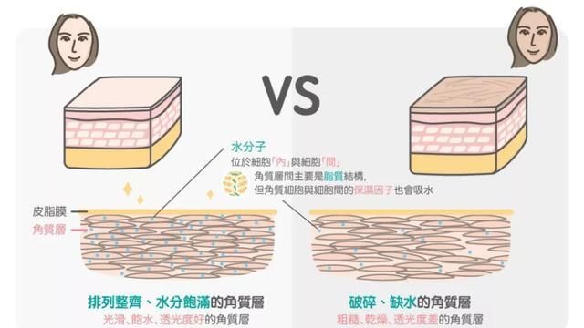 说了算|秘籍|空调房和干皮的兼容度,你说了算