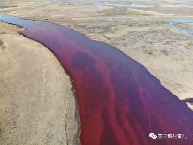  北极地区|“全世界最冷小镇”今年夏天气温飙到38℃！灾害频发，北极圈不好过了！