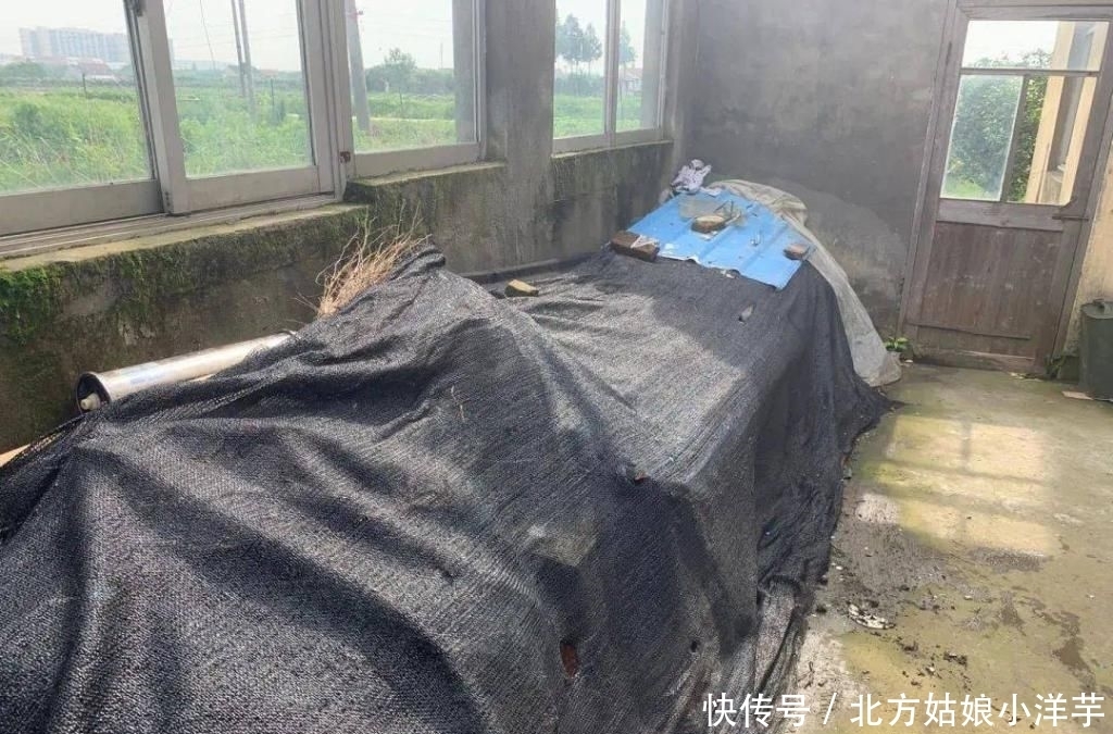 文明城区|给我们的家园做一场“深层SPA”！