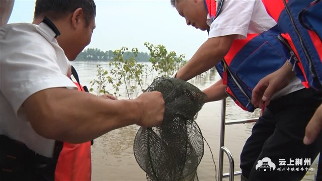  捕鱼|顶风作案非法捕鱼！石首重拳出击抓现行，作案船只被现场拆解