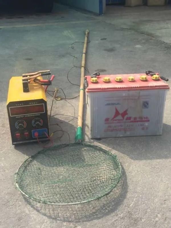 渔业|@南通人 有奖举报,最高奖2万!