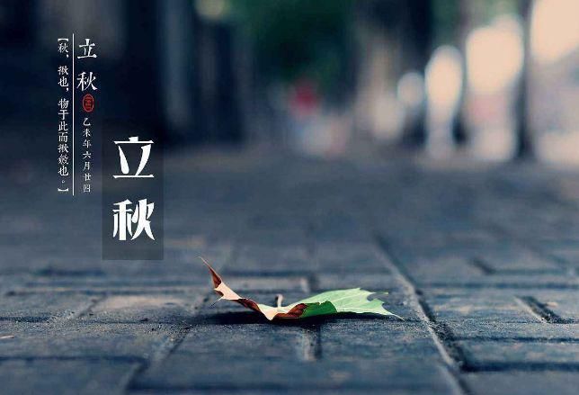  今日|时令 | 今日立秋！还会热吗？