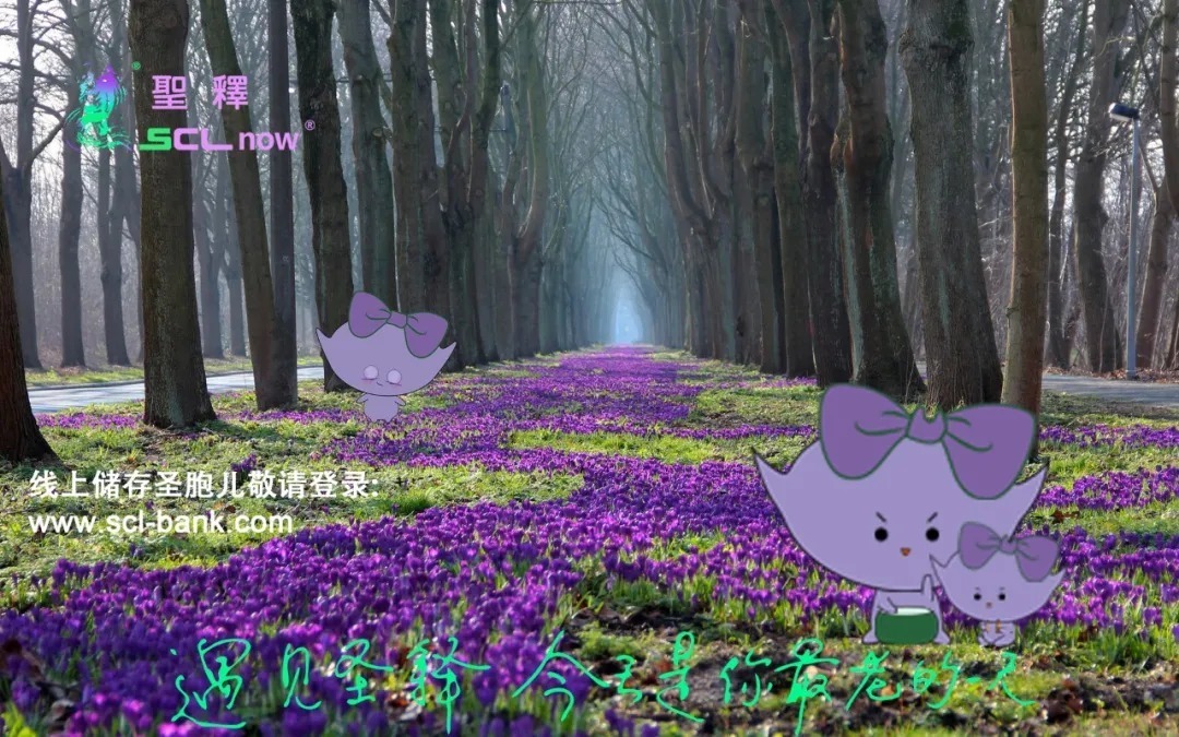 抑郁症患者|足以毁掉一个人的抑郁症