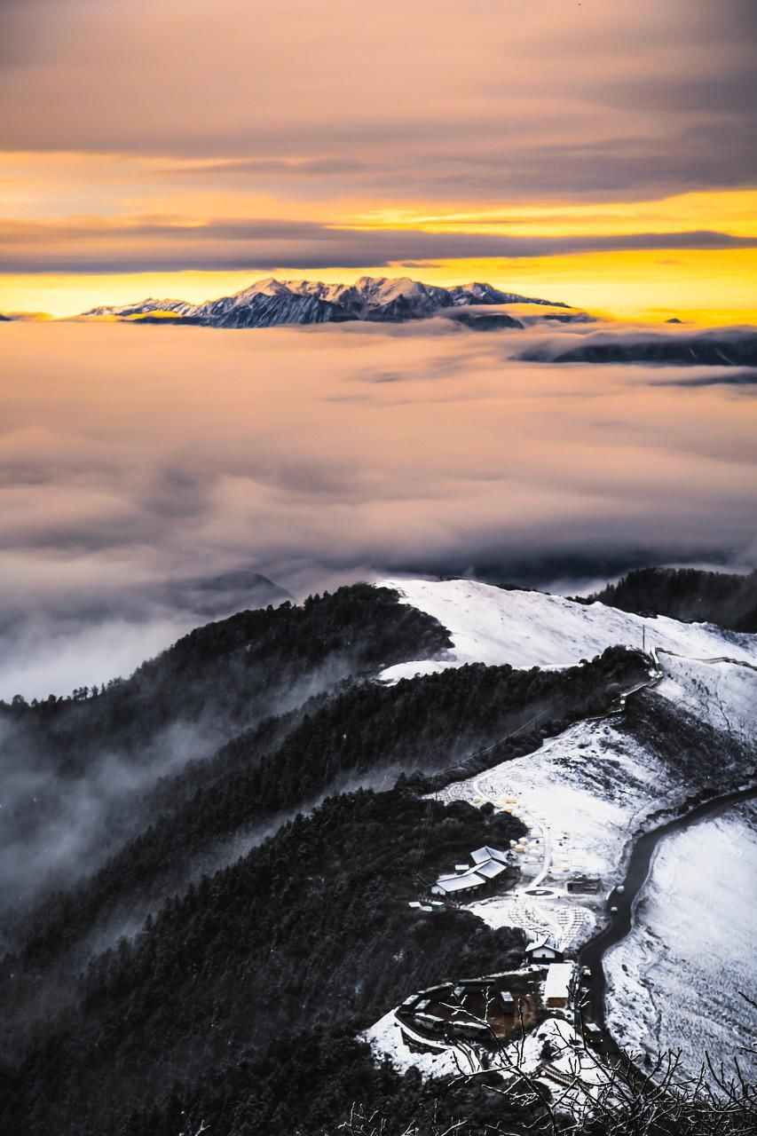  瞒不住|完了！雅安遍地大熊猫的事瞒不住了