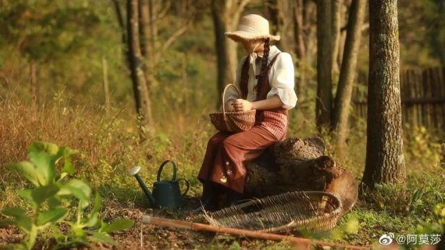  李子|她用3年时间爆改老宅，把荒地变花海：原来除了李子柒，我们还有另一种田园牧歌