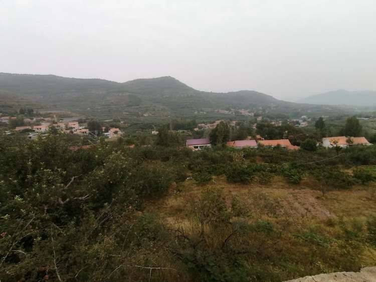 沂源|视频︱沂源偏远小山村19岁听障女孩编排舞蹈为家乡苹果打CALL