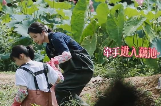  做错事|团宠张子枫不小心做错事，对节目组说了对不起后，导演就心软了