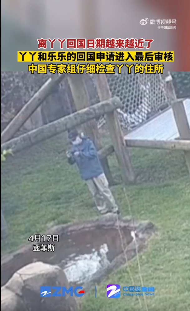 丫丫乐乐回国申请进入最后审核：中国专家仔细检查丫丫住所