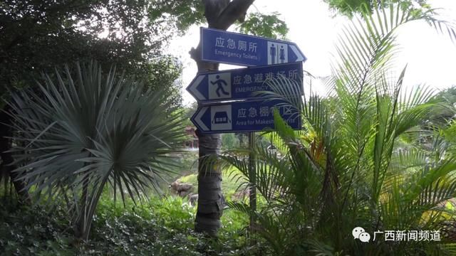 厕所|广西一公园厕所内受害人被捅几十刀，现场留下一枚血掌纹......