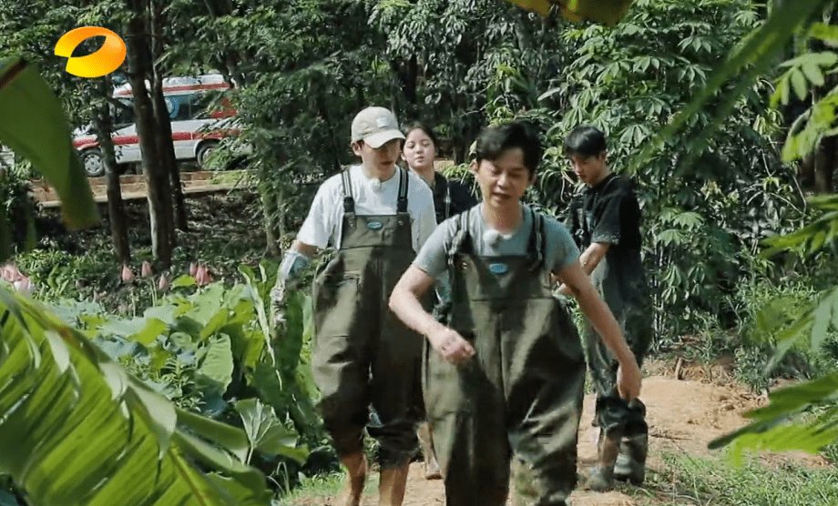  池塘|何炅带着张子枫去挖藕，池塘边出现的场景引热议：节目组好贴心