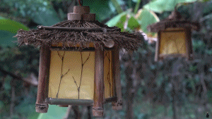  有个|山东有个大爷版李子柒！“玩木头”爆红海外！能造2600年前“鲁班凳”