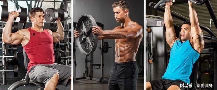  三角肌|别把窄肩怪在基因上，高手靠这些方法把它练宽！