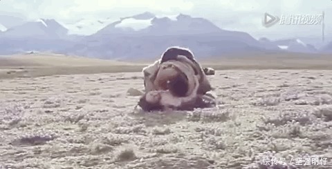  阿凡达|24年前，宁静拍过一部「阿凡达」