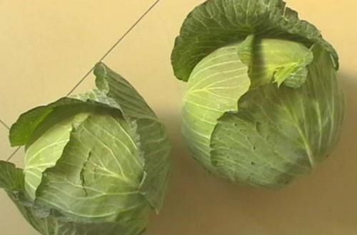 格外|为啥饭馆里炒的包菜格外好吃? 大厨: 进锅前加一勺它, 想不香都难