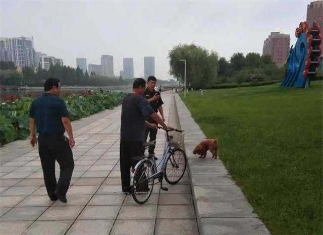 威海|在禁遛犬区域遛犬？威海文登区这些人被处罚