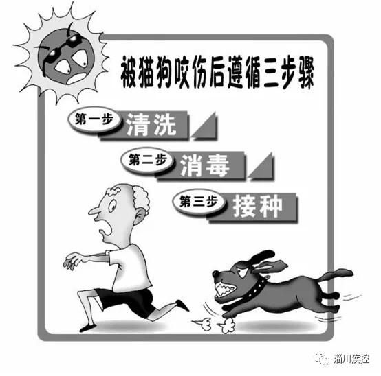 狂犬病|强化协作加强免疫，共同消除狂犬病