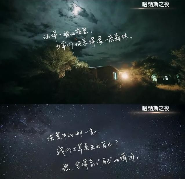  李宇春|《乘风破浪的姐姐》总导演热衷选择李宇春和华晨宇演唱节目主题歌