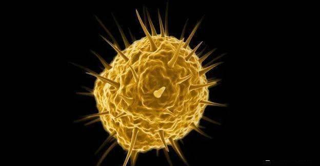 图源|北极圈着火!气温直逼38度,科学家恐冰川融化远古病毒复活