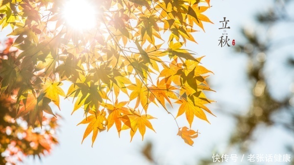 立秋中老年人吃什么(今日立秋，建议中老年：1要养，2少做，3多吃，养好身体平安过秋)