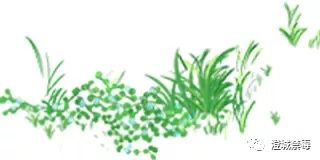 贩毒|70余人落网！陕西澄城警方端掉特大吸贩毒犯罪团伙