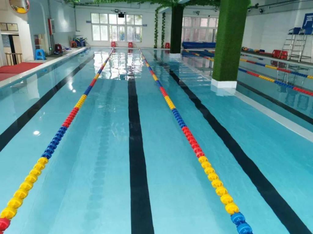  游泳池|不游泳，不夏天！苍南县各游泳池（馆）大盘点！