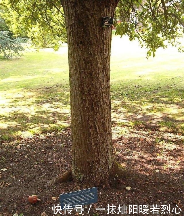 回顾|夜空为何是黑暗的?回顾这一个世纪以来对夜空的探索历程