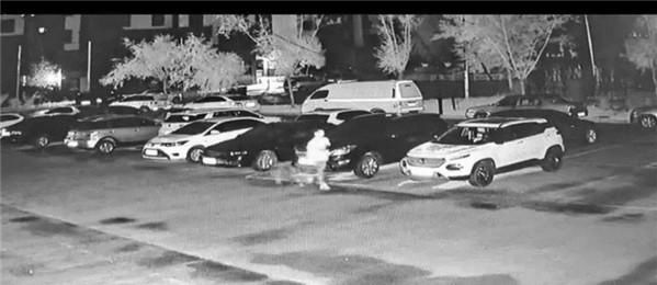  业主|业主车内财物被盗 物业盯守半个月抓住小偷
